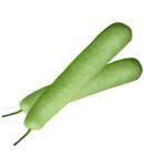 natural live bottle gourd seed Seed (20 per packet)