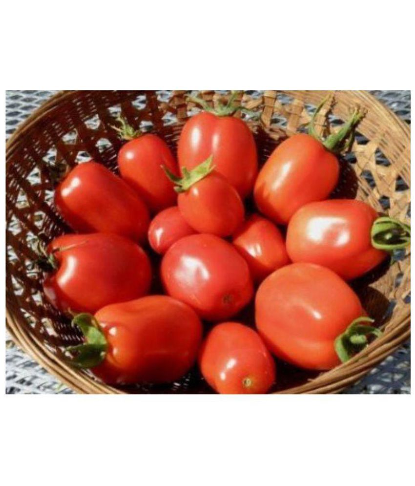     			Raunak Seeds Tomato Heirloom Roma, 100 Seeds Seed