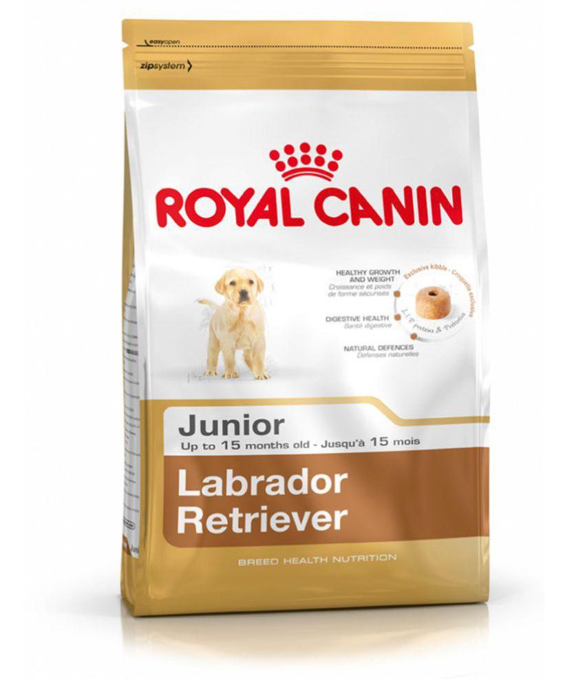 Royal Canin Labrador Dog Food Dry Junior NonVeg Buy