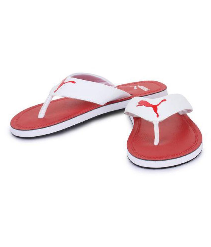 puma flash cat idp