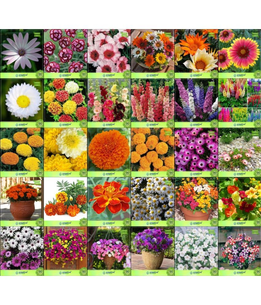 Flower Seeds Seeds For Garden Combo of 30 Packet of Seeds Garden