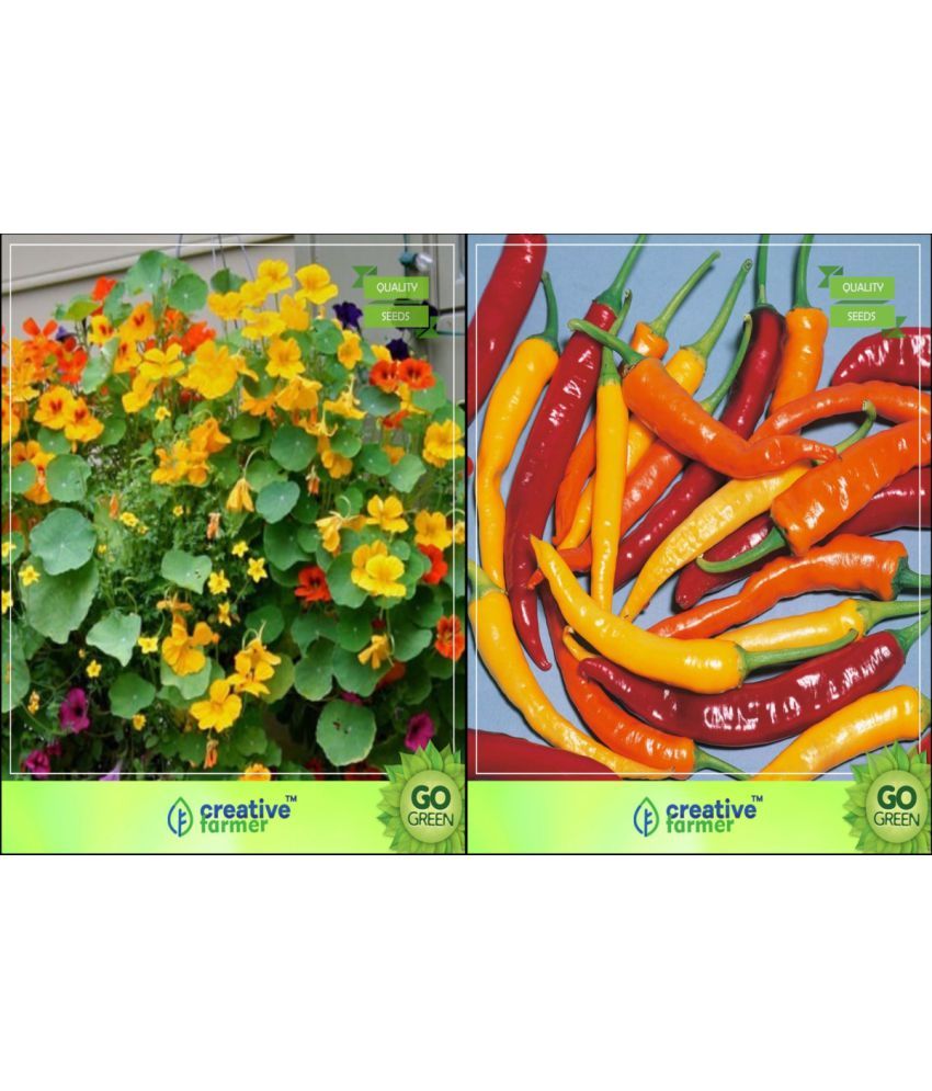 Flower Seeds Seeds For Vertical Garden Combo Nasturtium , Ornamental