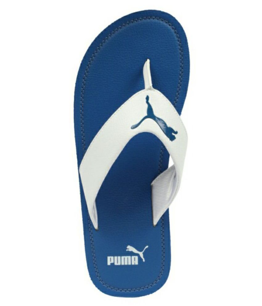 puma flash cat idp