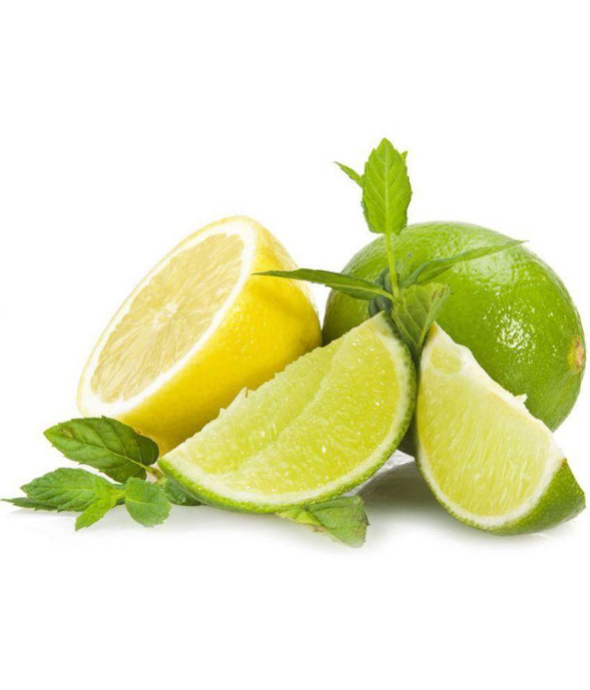 Lemon seed Buy Lemon seed Online at Low Price Snapdeal