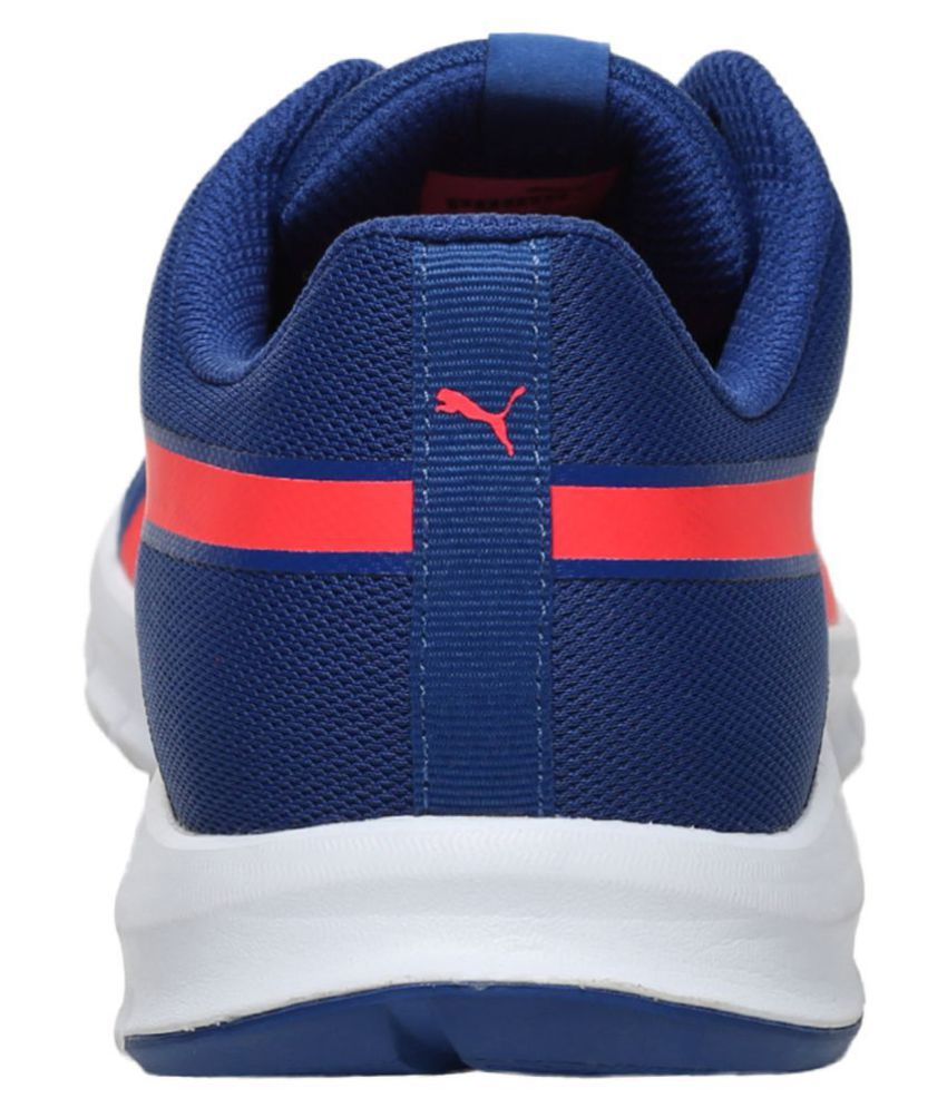 multi colored puma
