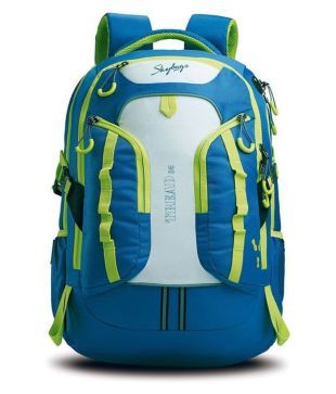 skybags 40 litre backpack