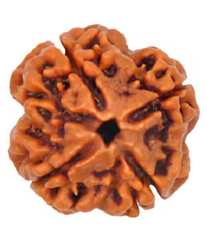     			Shivoham 4 Mukhi Rudraksha  With ( Lab Certified ) 4 Face Rudraksha