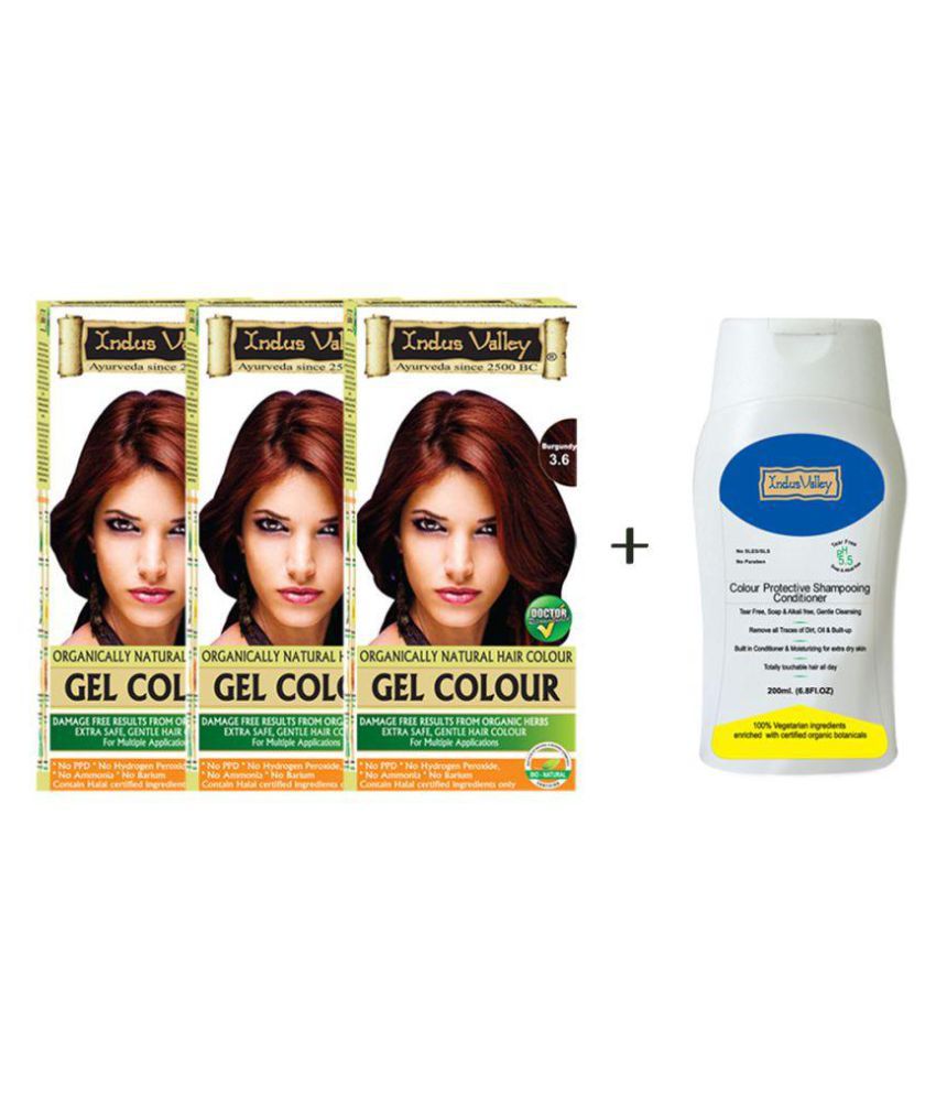 Indus Valley Gel Burgundy  With Free Shampoo Permanent Hair Color  Burgundy 860 mL Pack of 4: Buy Indus Valley Gel Burgundy  With Free  Shampoo Permanent Hair Color Burgundy 860 mL