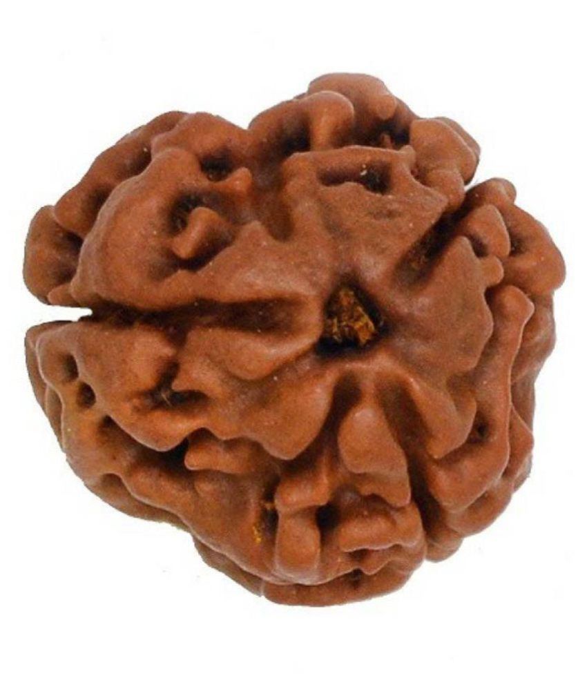     			Shivoham 4 Face Rudraksha