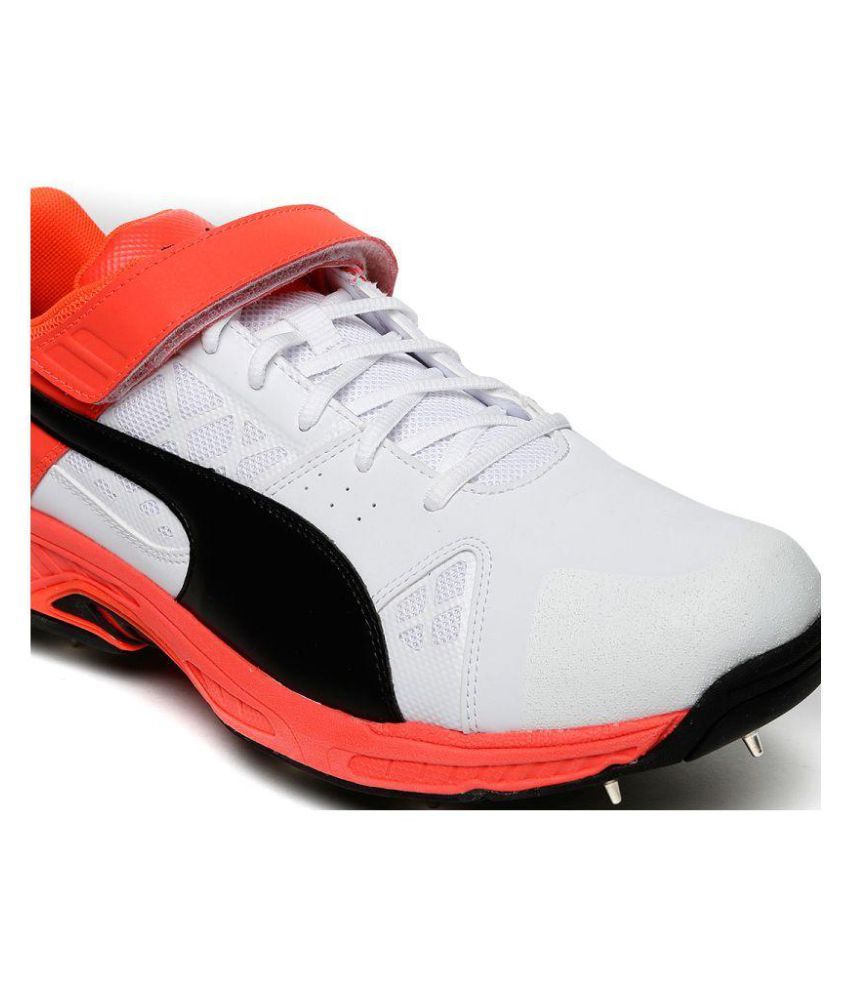 puma cricket shoes for sale