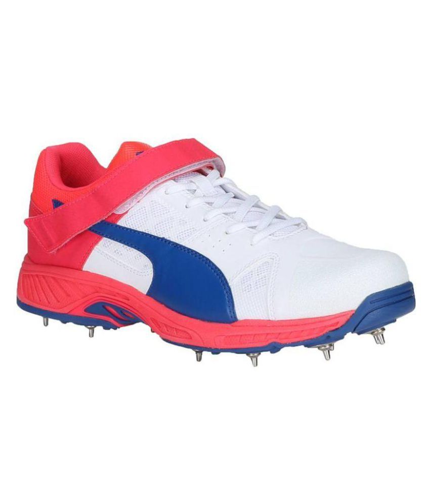 puma evospeed b puma evospeed b