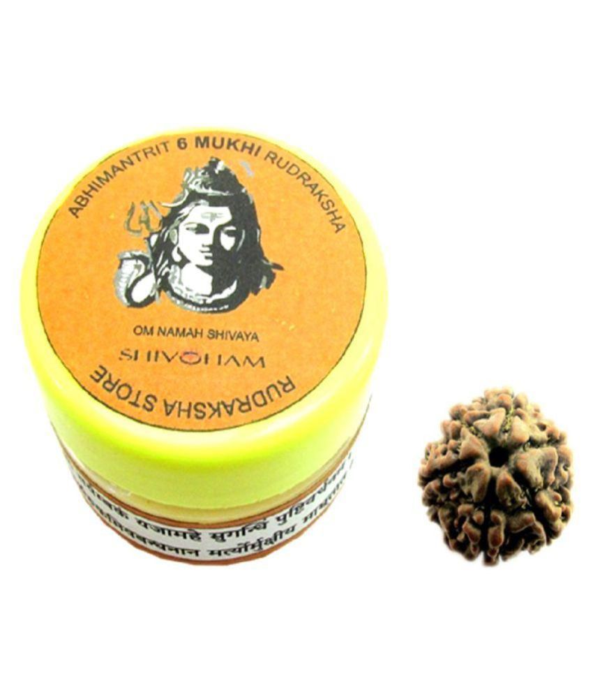     			Shivoham 6 Mukhi Rudraksha 6 Face Rudraksha