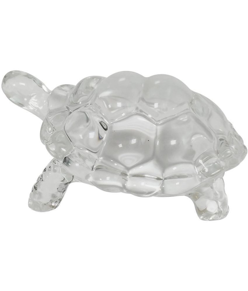     			S.S Collection Glass Tortoise