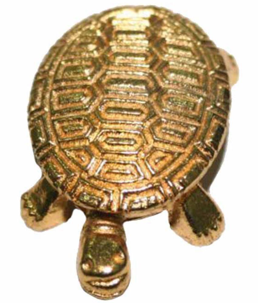     			Arina Collection Golden Wish Fulfilling Tortoise with Gold Plated