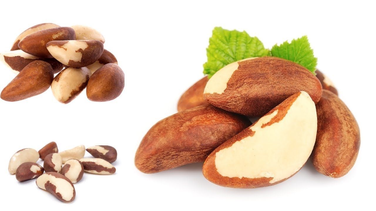 Get Brazil Nuts In Hindi Meaning Pictures