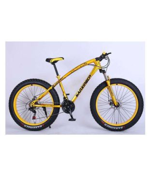 thick tyre bicycle price