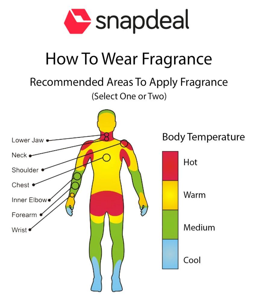 vestige pocket perfume price