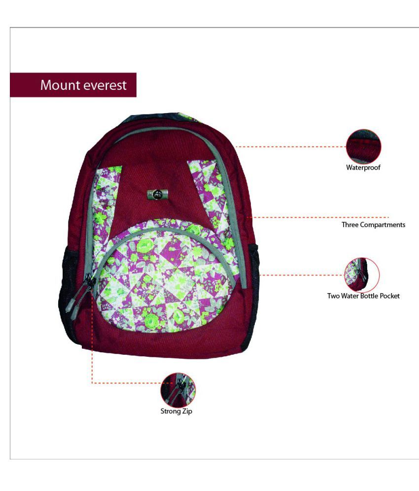 everest backpack price