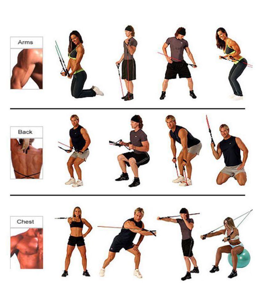 chest expander exercises for beginners
