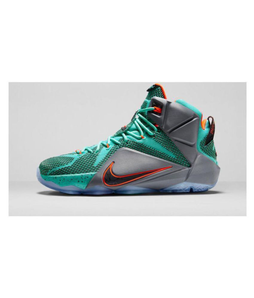 nike lebron 12 price