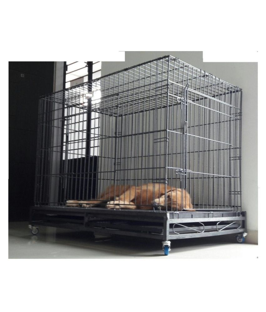 rottweiler cage