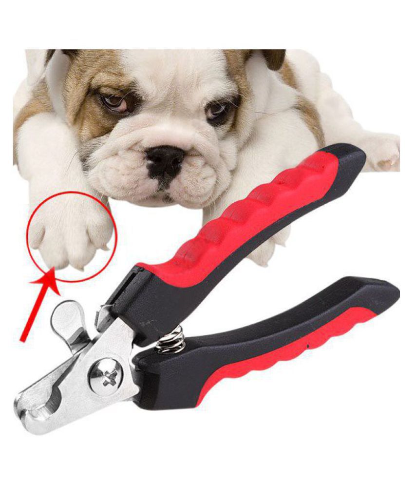     			Dog Nail Cutter with Nail File "Good to keep your pet's nails trim rounded and smooth with no mess"