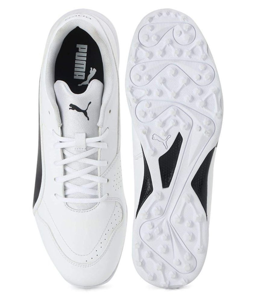 puma white cricket shoes