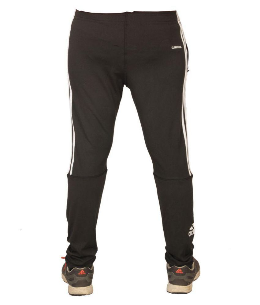 track pants lycra