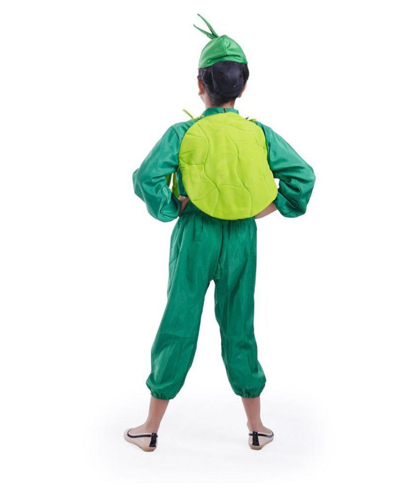 Fancydresswale Cabbage Vegetable Dress for Boys and Girls Vegetable