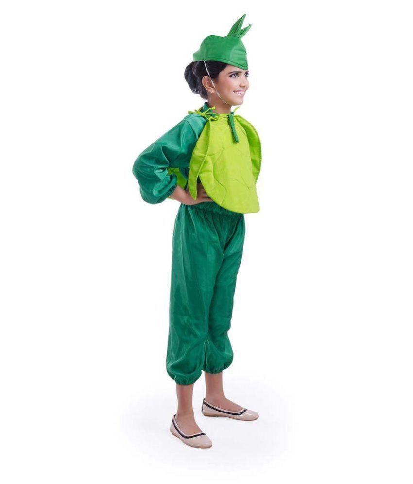 Fancydresswale Cabbage Vegetable Dress for Boys and Girls Vegetable