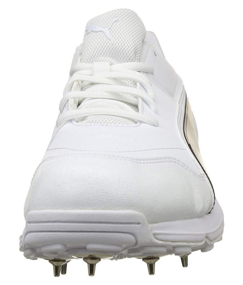 cricket shoes buy online