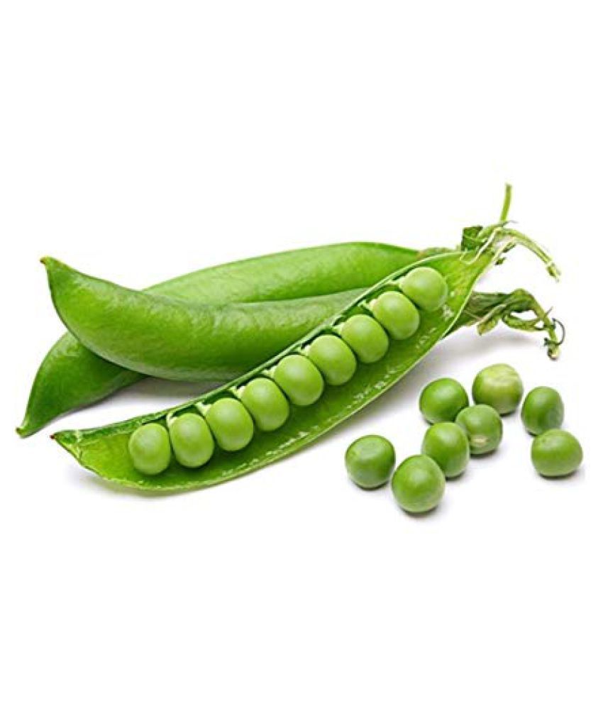 Vegetable Seeds Green Peas Seeds For Home Garden Seeds Peas Seeds