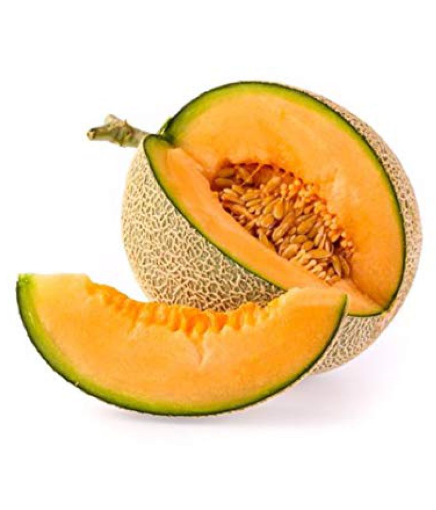 Vegetable Seeds Musk Melon Golden (Orange Flesh) Seeds Musk Melon