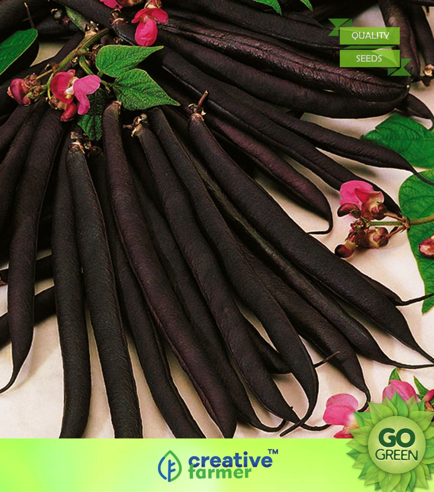 Vegetable Seeds String Beans Seeds Beans Purple Seeds Seeds For