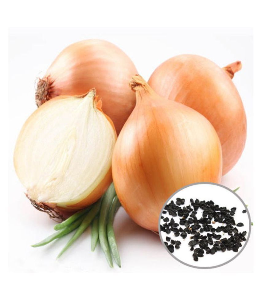 Лук чернушка семена. Лук чернушка семена лучшие сорта. Лук чернушка сорта. Лук чернушка сорта. Лук репчатый семена.