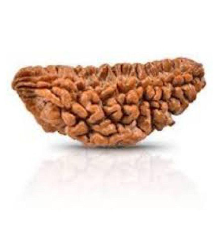     			Lucknow Pujan Store Rudraksha Bead Pack of 1 - 1 Beads