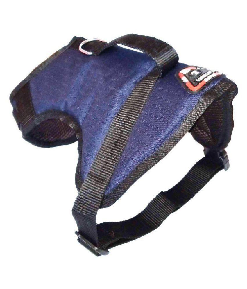 How Should A Dog Harness Fit Adjust the straps evenly and aim to get