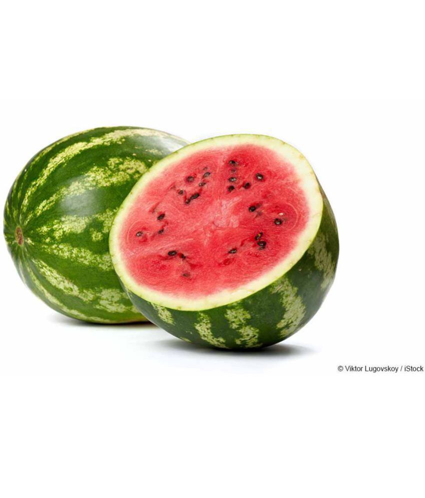 Annex Watermelon/Tarbuj Fruits Seeds pack of 2pcs Fruit Seeds: Buy