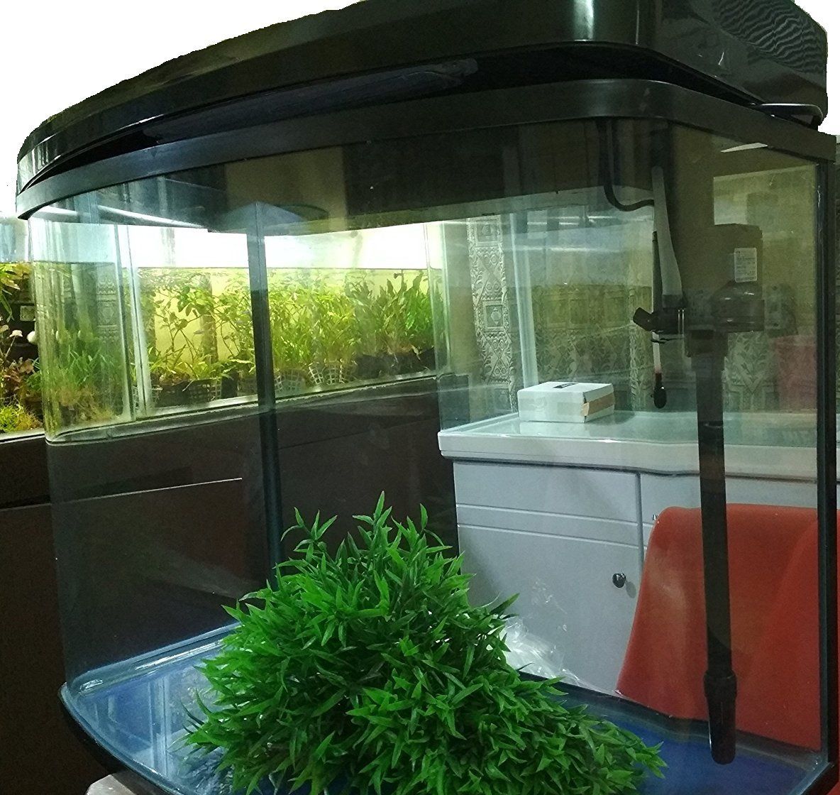 moulded glass aquarium