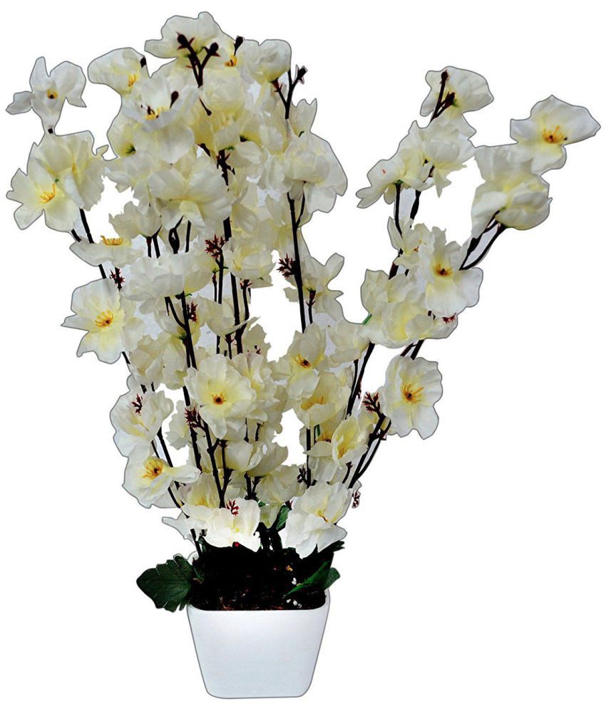     			YUTIRITI Orchids White Flowers With Pot - Pack of 1
