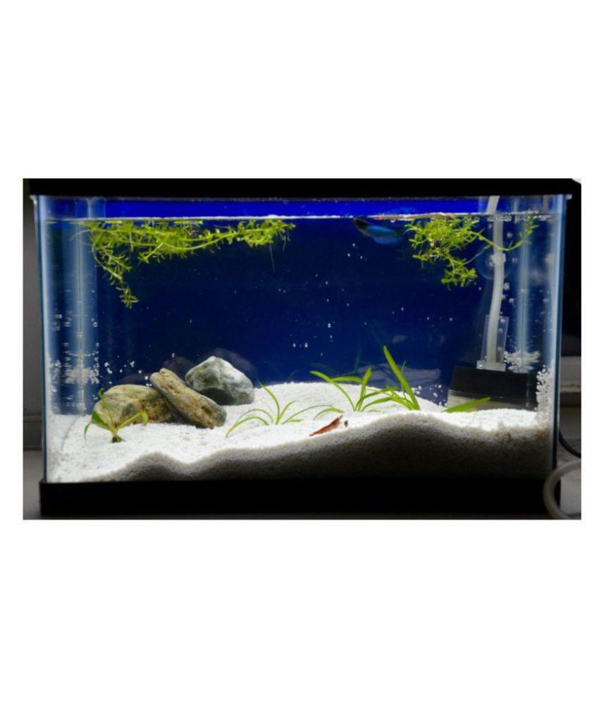 aquarium sand online