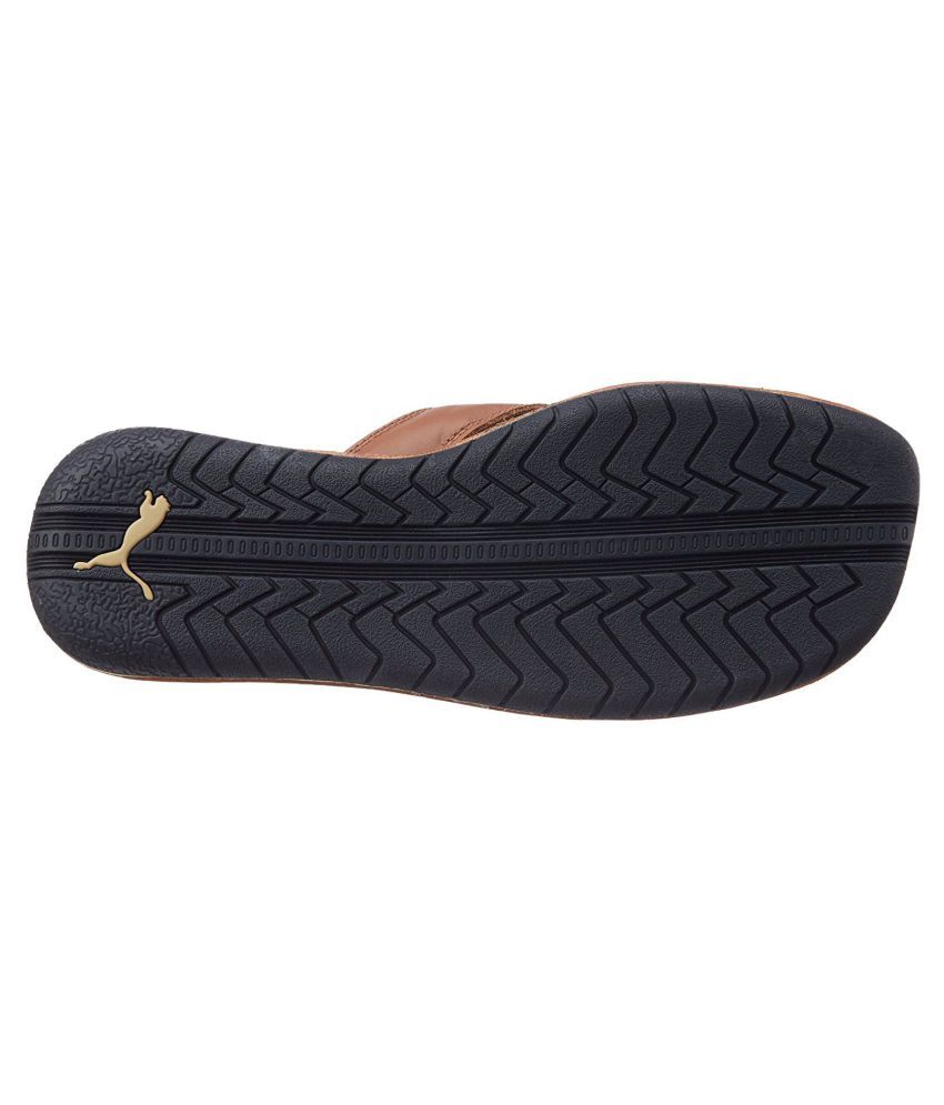 Puma stan DP Brown Thong Flip Flop Price in India- Buy Puma stan DP Brown Thong Flip Flop Online 