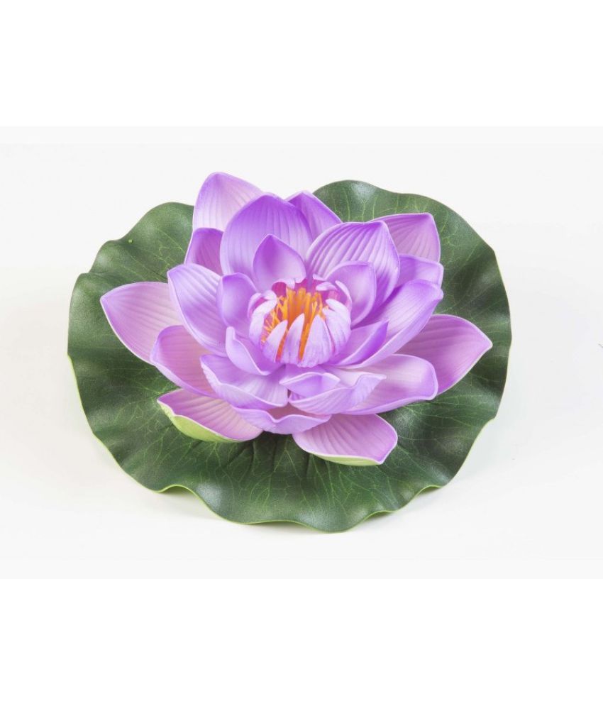 Green plant indoor Lotus Multicolour Floating Flowers - Pack of 1: Buy ...