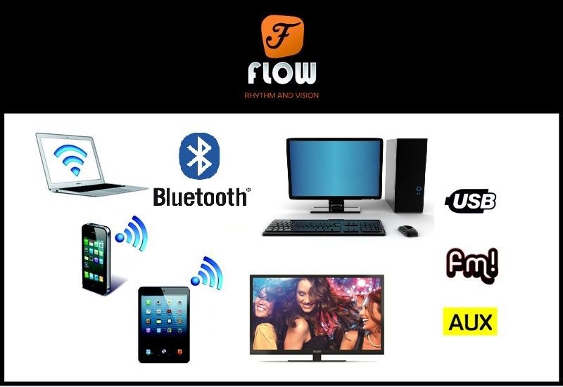 flow mini boombox