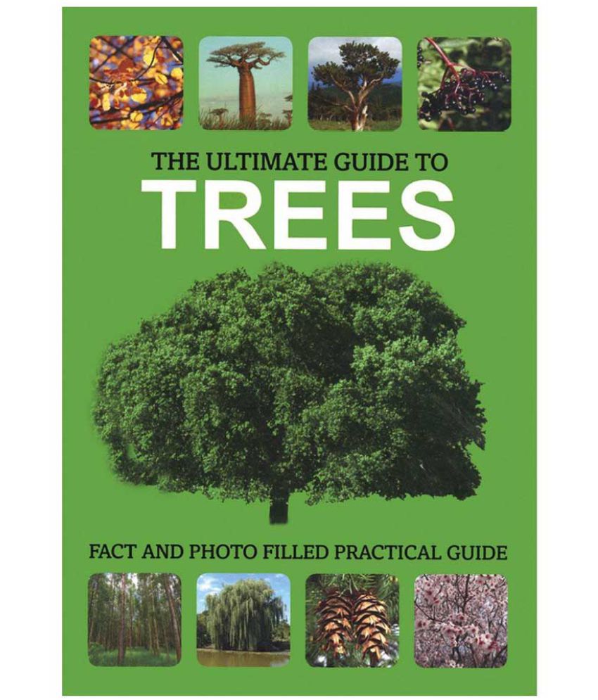     			The Ultimate Guide To Trees