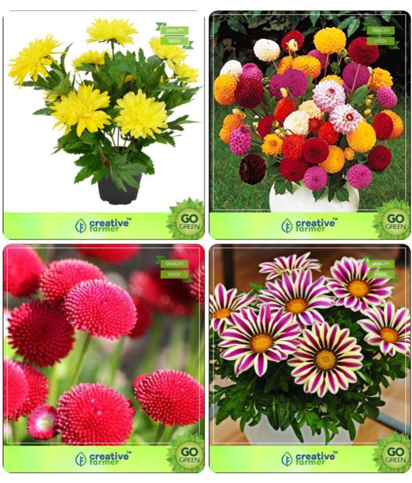 Flower Seeds Seeds For Flowering Plants Winter & Summer Combo