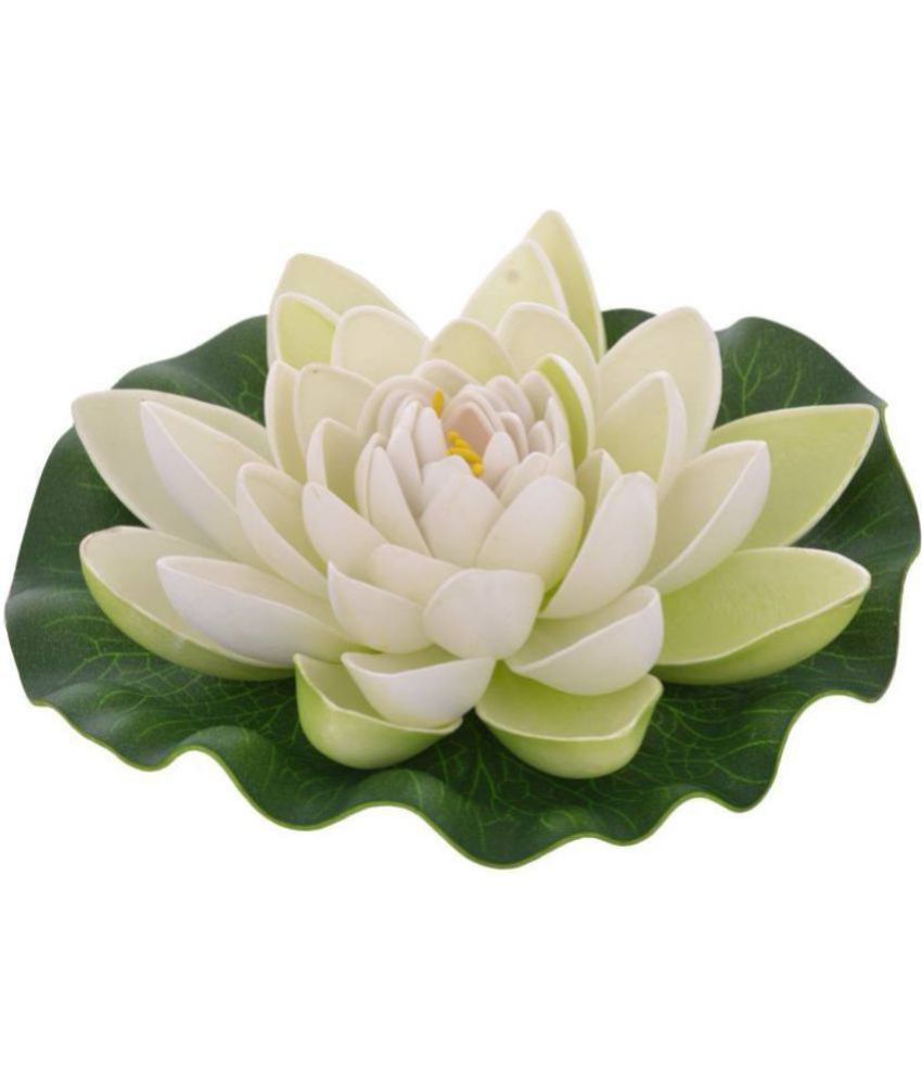     			Green plant indoor Lotus Multicolour Floating Flowers - Pack of 1