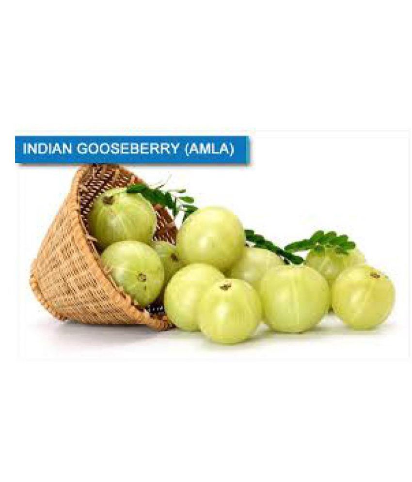 Nisarga Enterprises Amla Candy Honeydew Honey 100: Buy Nisarga ...