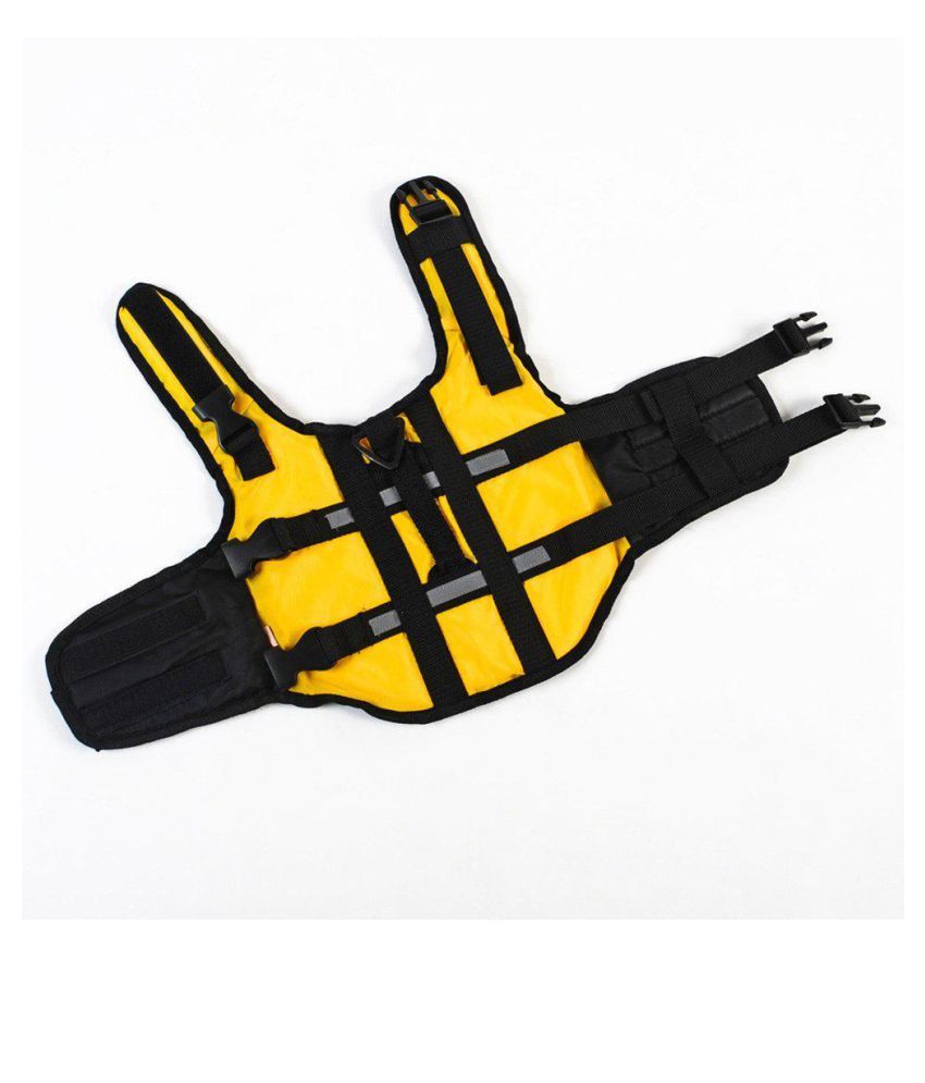 dog swimming jacket