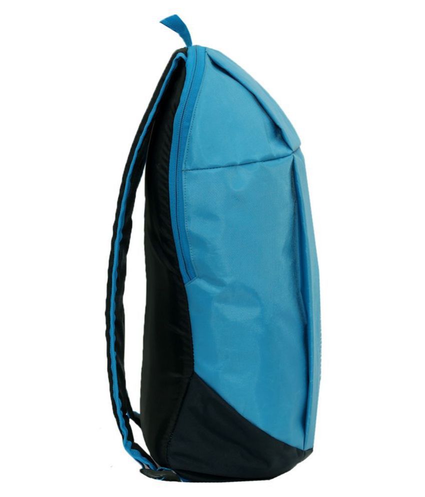 LIONBONE Sky Blue 15 Ltrs Polyester Backpack College Bags Backpacks ...